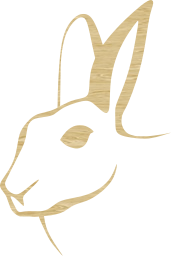 animal hare rabbit bunny 