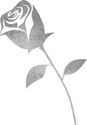 leafy petal stylised images floral leaf leaves flower rose misc plant 