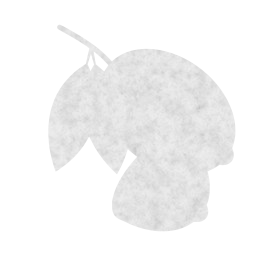 fruits citrus lemons 