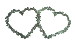 graphics photoshop sweethearts background style hearts ornament jewelry feelings postcard sign computer love decor symbol for february holiday pattern 14 element signboard drawing heart frame design photo wedding 