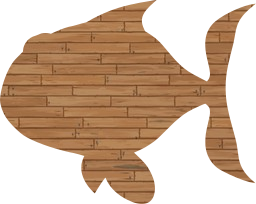illustration fish gold clown salmon orange fin drawing eye swimming 