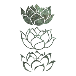 lotus flower 