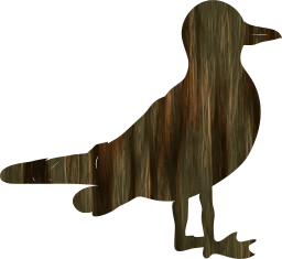 tail seabird nature wildlife animal flying wing beak water feathers beach freedom fly bird ocean summer lake feather wings flight stand sky seagull 