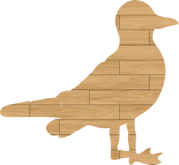 tail seabird nature wildlife animal flying wing beak water feathers beach freedom fly bird ocean summer lake feather wings flight stand sky seagull