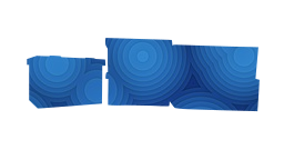 carton moving box 