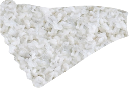 pie slice 
