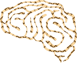 internal memory neuron intelligence human psychology neurology organ nervous mind head anatomy brain synapse mental physiology nerve think 