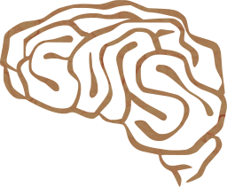 internal memory neuron intelligence human psychology neurology organ nervous mind head anatomy brain synapse mental physiology nerve think 