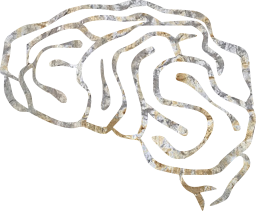 interno memoria neurona inteligencia humano psicología neurología Organo nervioso mente cabeza anatomía cerebro sinapsis mental fisiología nervio pensar 