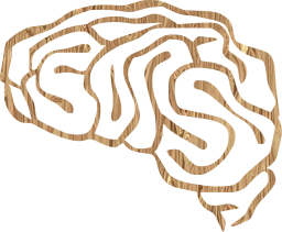 internal memory neuron intelligence human psychology neurology organ nervous mind head anatomy brain synapse mental physiology nerve think 