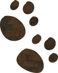 paws animal imprint impression dog trace pet ground footprint computer canine walk trail footstep outline prints pattern doggy outdoor 