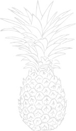 tropic pineapple fruit 