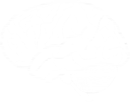 anatomy profile brain human 