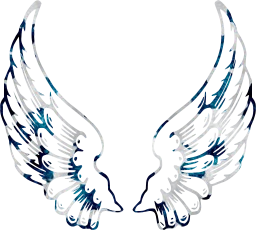 angel wings 