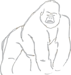 primate gorilla ape 