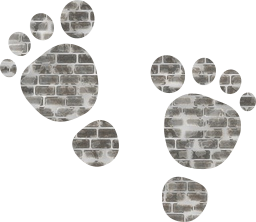 barefoot feet prints foot 