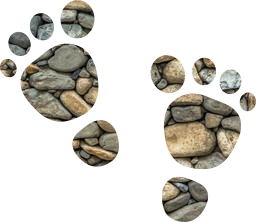 barefoot feet prints foot 
