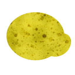 pai labu 