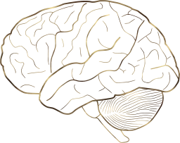 wisdom memory anatomical intelligence human psychology neurology organ mind medicine science medical anatomy brain health idea genius mental physiology biology think 