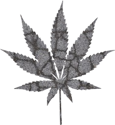 [Asphalt 006] marijuana drugs cannabis - Free images \u0026 icons. | COOL Silh