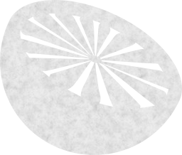 lemon cut 
