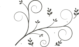 element elegant retro style scroll decorative floral drawing leaf border ornament ornate pattern curl design 