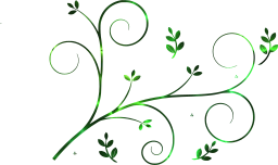 element elegant retro style scroll decorative floral drawing leaf border ornament ornate pattern curl design 