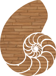 animal aquatic sea shell dark fossil spiral navy 