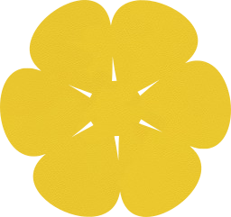 april plant springtime petals bloom botany gardening spring floral flora sun blossom flower garden 