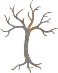 naked tree blank branch death sad winter isolated branches autumn nature bare 