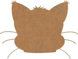 mammal aggressive animal cat expression carnivore face angry head portrait whiskers feline 