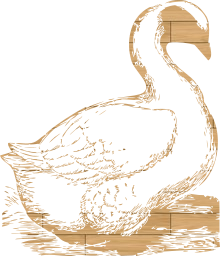 geese goose poultry