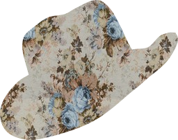 fashion western cowboy hat country 