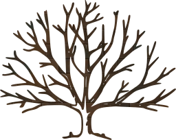winter tree bare 