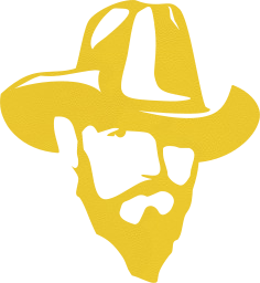 fashion person stylish retro vintage style bearded cowboy adult hat man portrait male 