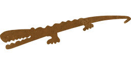 reptile alligator crocodile 