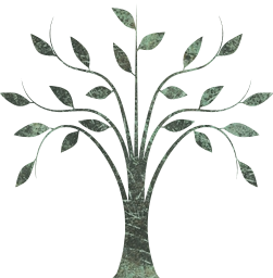 garden tree leafy environment leaves branches ecology plant 