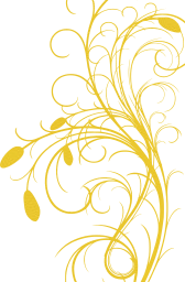 filigree business map symbol invitation card spring fantasy flora summer leaves tender abstract curlicue wave plant