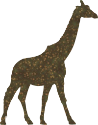 mammal animal safari neck isolated zoo wildlife africa giraffe 