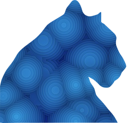 panther animals feline 