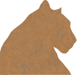 panther animals feline 