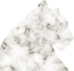 panther animals feline 