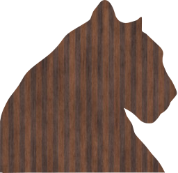panther animals feline 