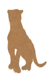 panther 