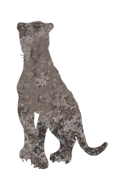 panther 
