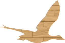bird fauna goose wildlife duck flying