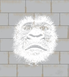 mammal animal gorilla 