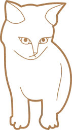 kitten cat feline 