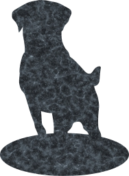 retriever mammal animal pedigree chocolate paws dog breed pet domestic pup obedient purebred training pedigreed hunting doggy outdoor 
