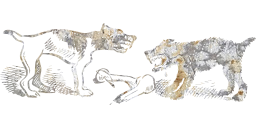 paw wild puppy fighting natural predator bone action play dogs angry outdoor wildlife animals 